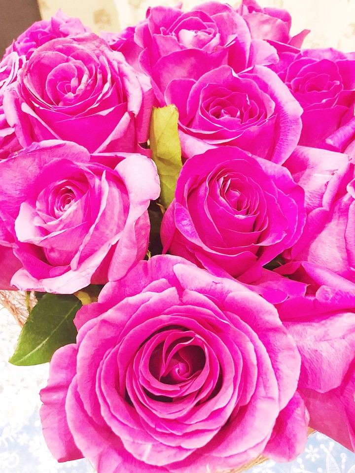 rose 
