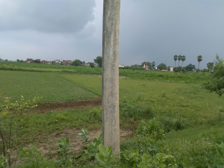 raju