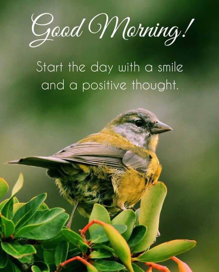 good morning