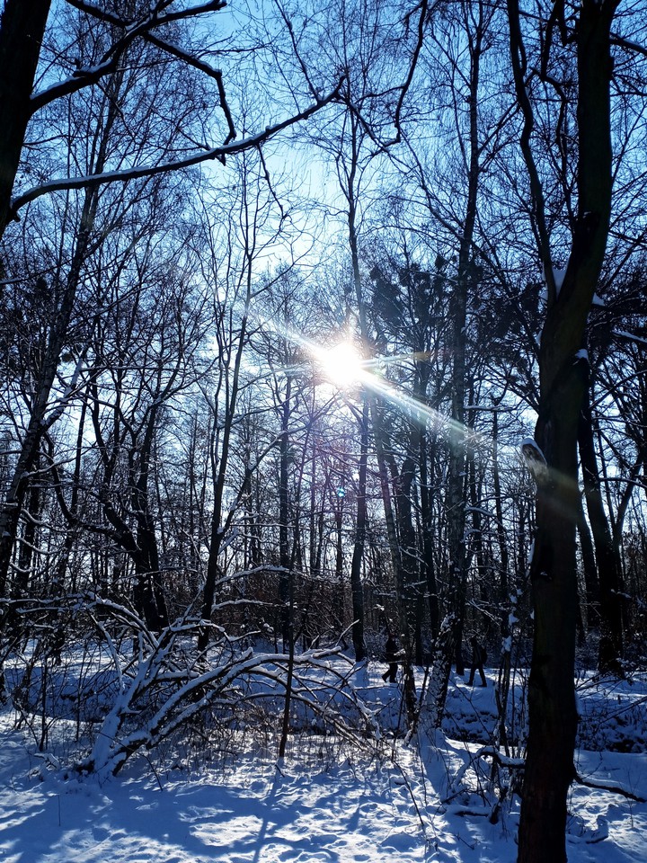 sun