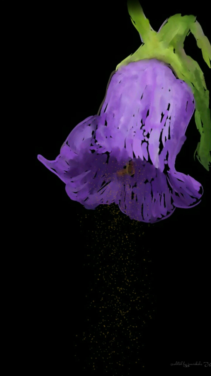 Flowers  fleurs