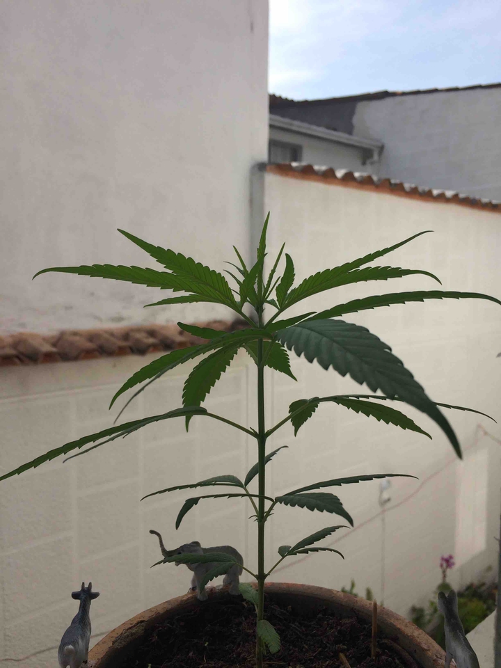 30 días! ?