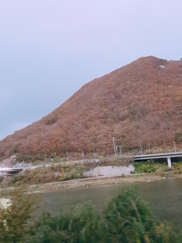 대한민국