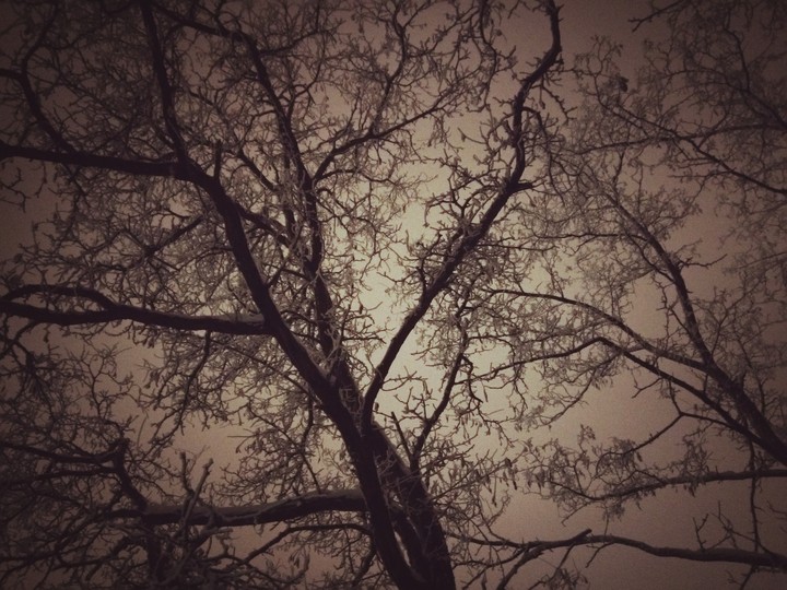 Winter