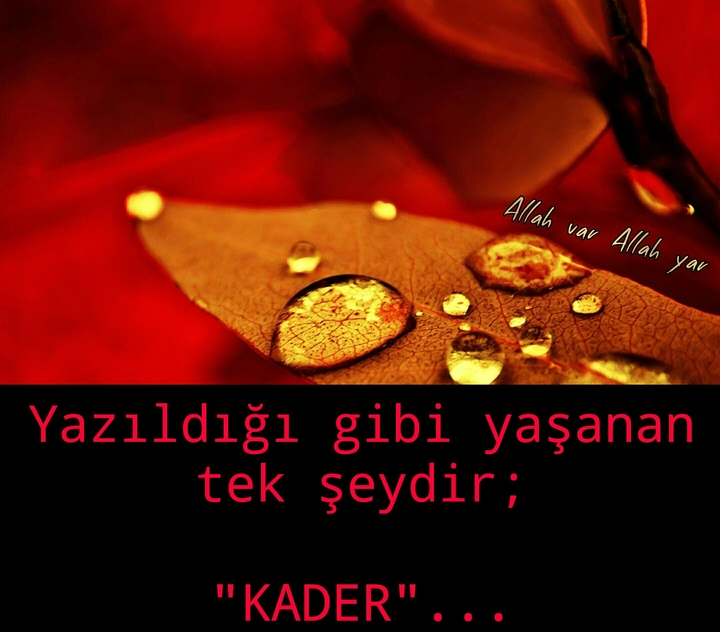 Kader