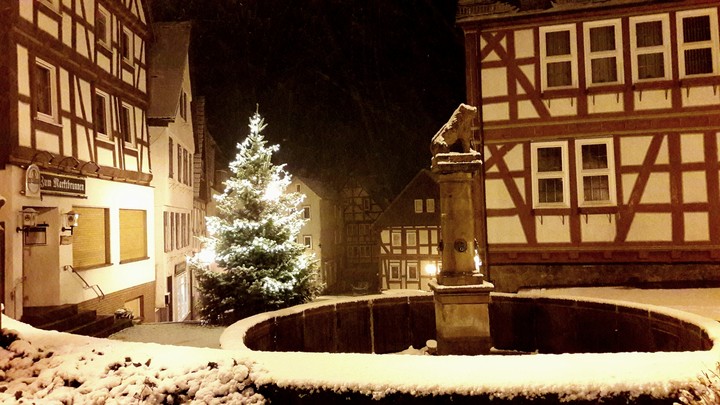 tree by the fountain