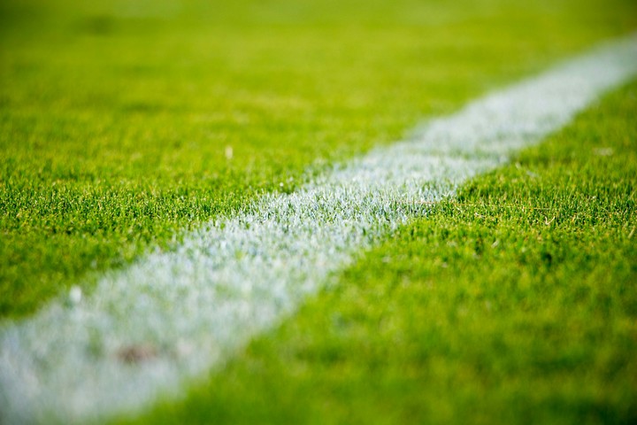 grass of stadium