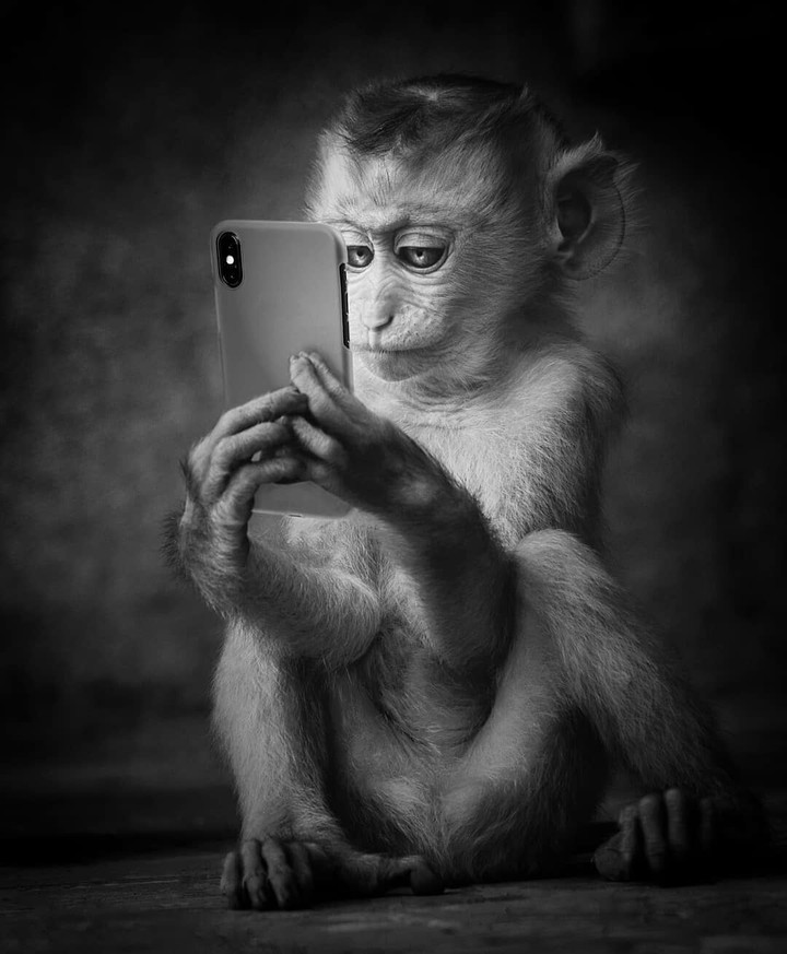selfie queen