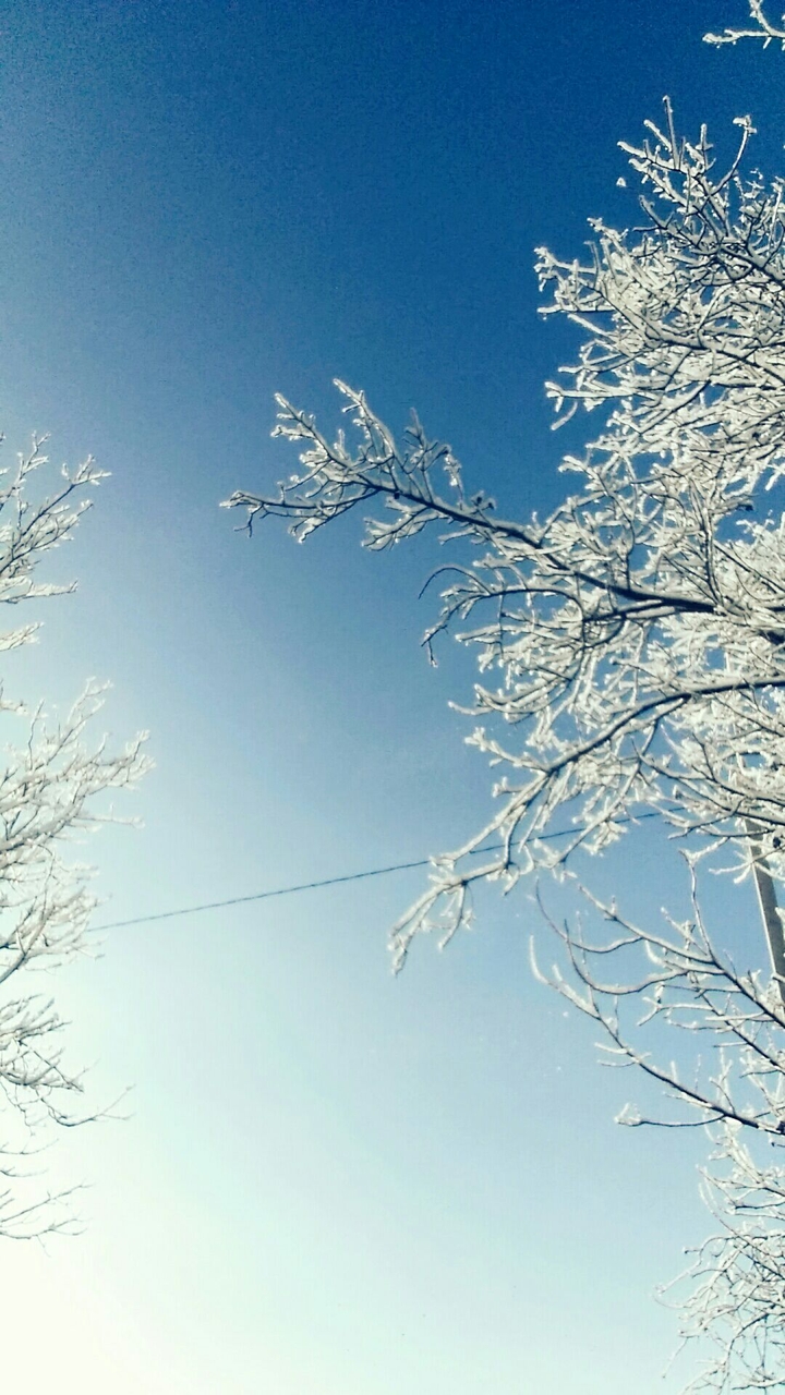 Зимние утро