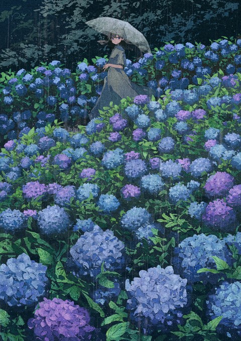 anime, wonder wallpapers