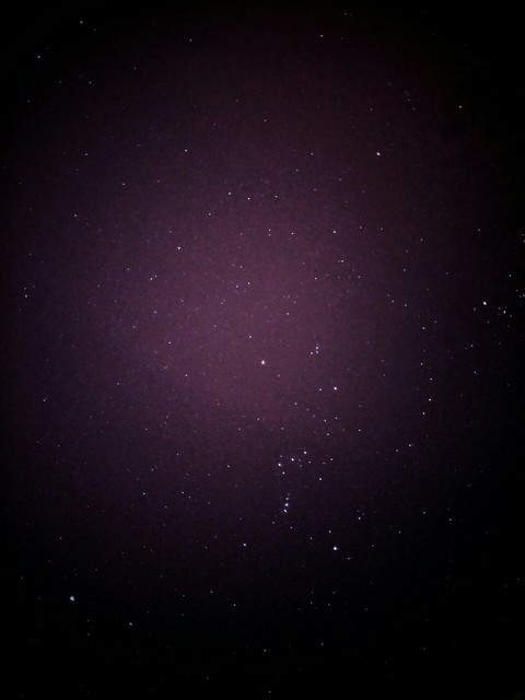 Stary