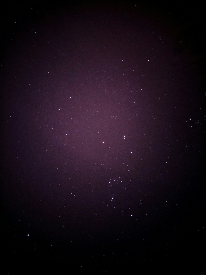 Stary