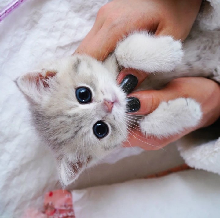 ♡