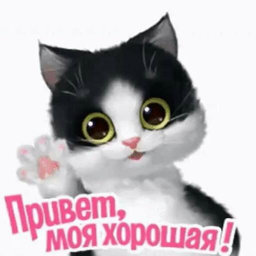 Привет