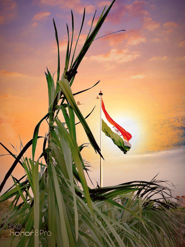 indian flag
