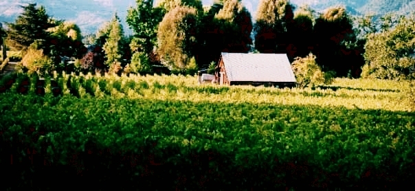 Napa Valley, Ca.