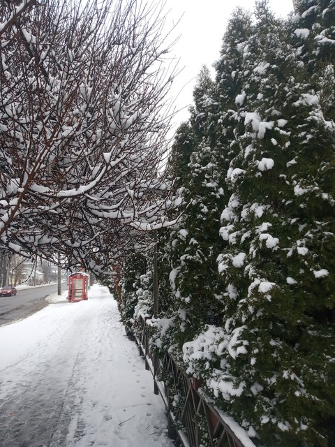 fondos de pantalla freezing, snow