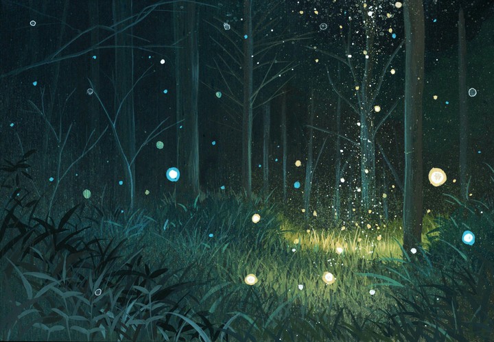 The Magic Garden