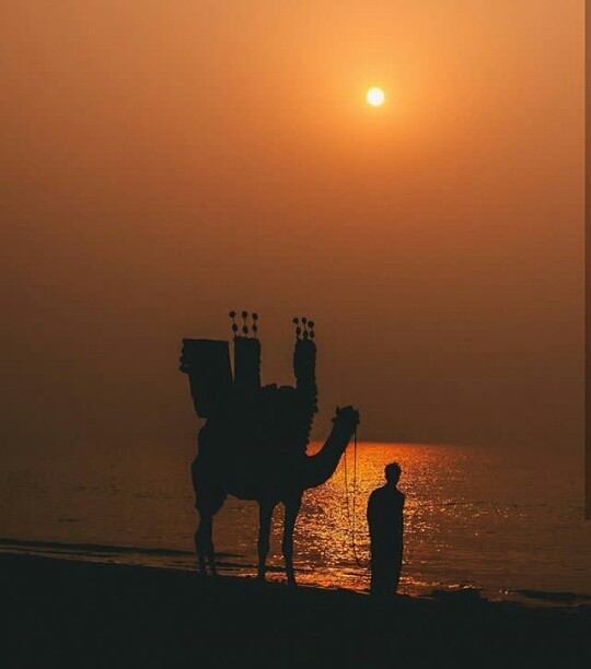 scene