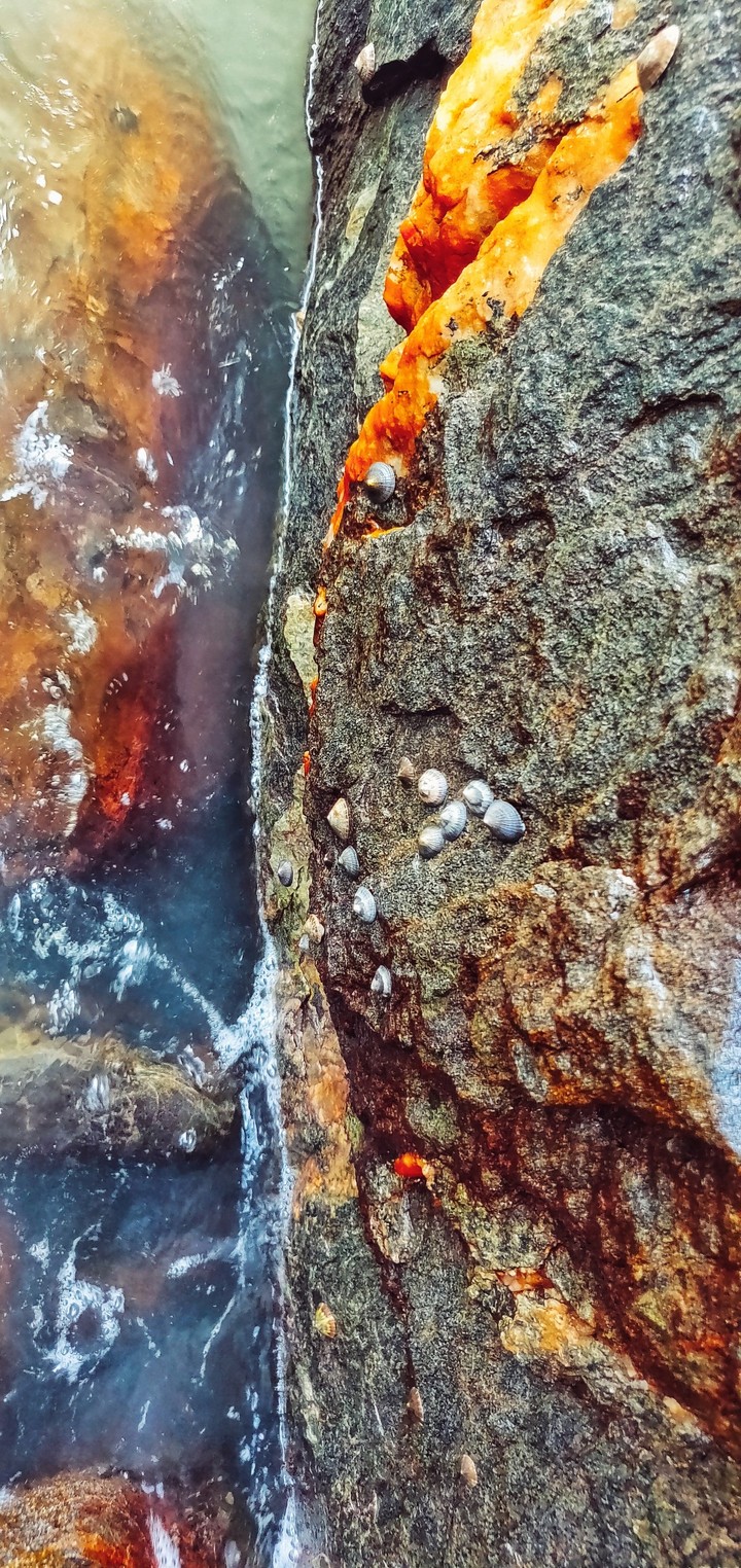 Beach rock