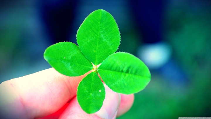 Four Leaf Clover