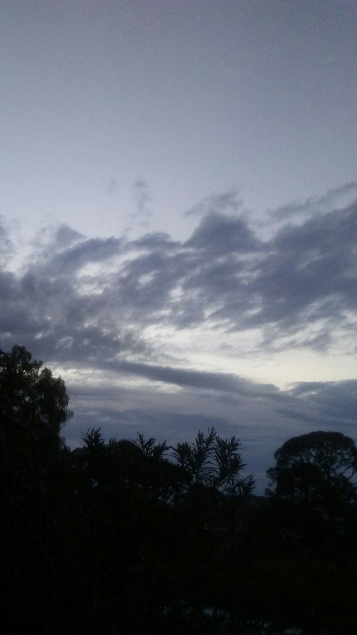 I think it's going to rain