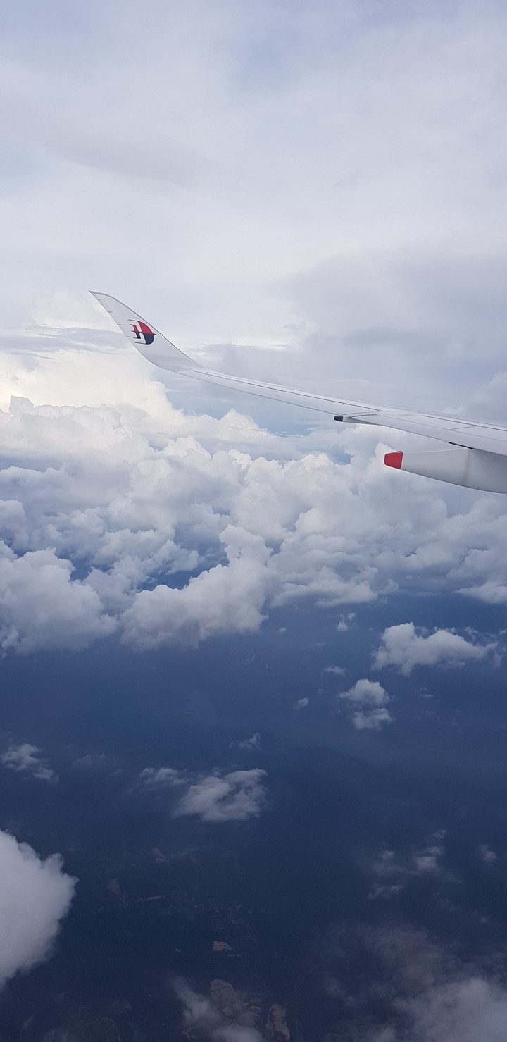 Fly