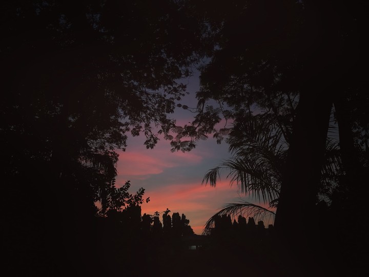 beauty of sunset.