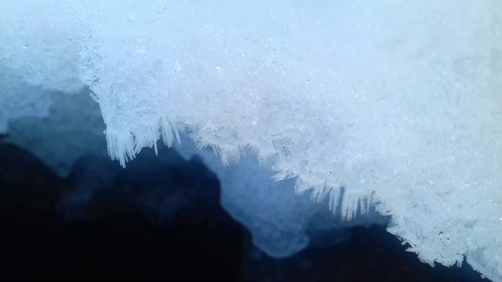 cristaux de neige