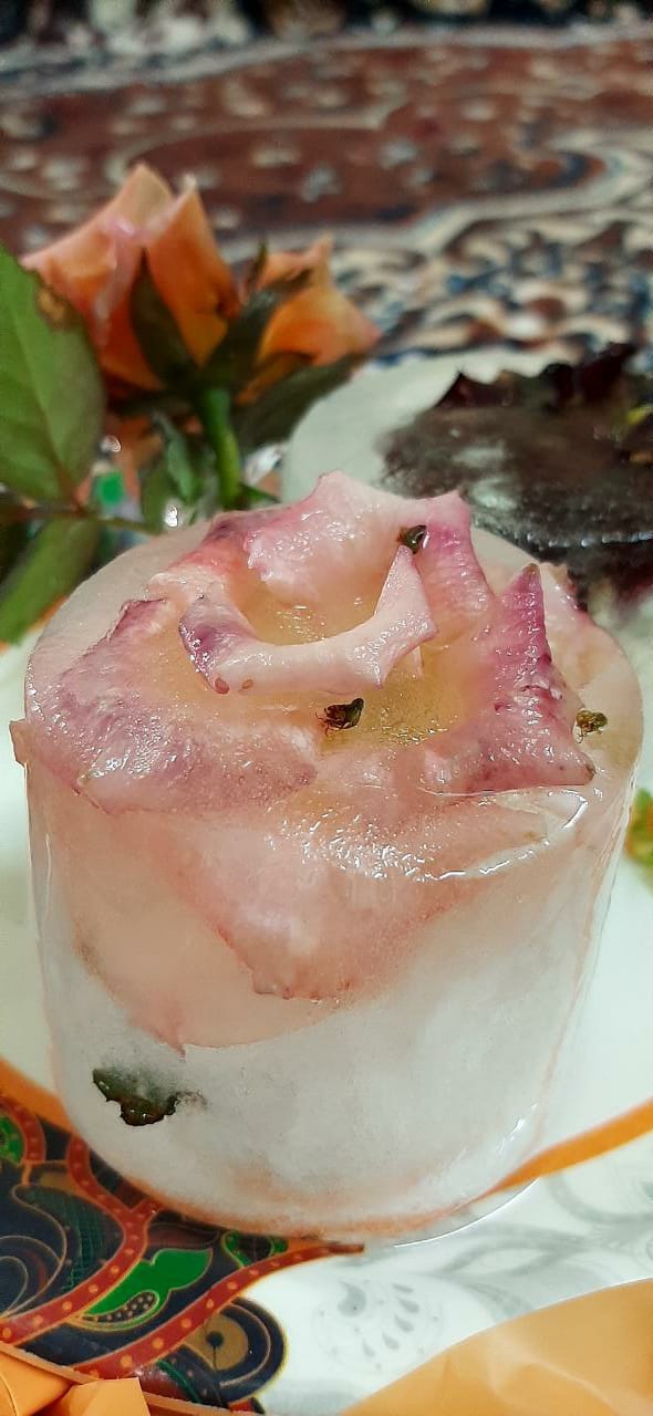roses in an ice cube.
