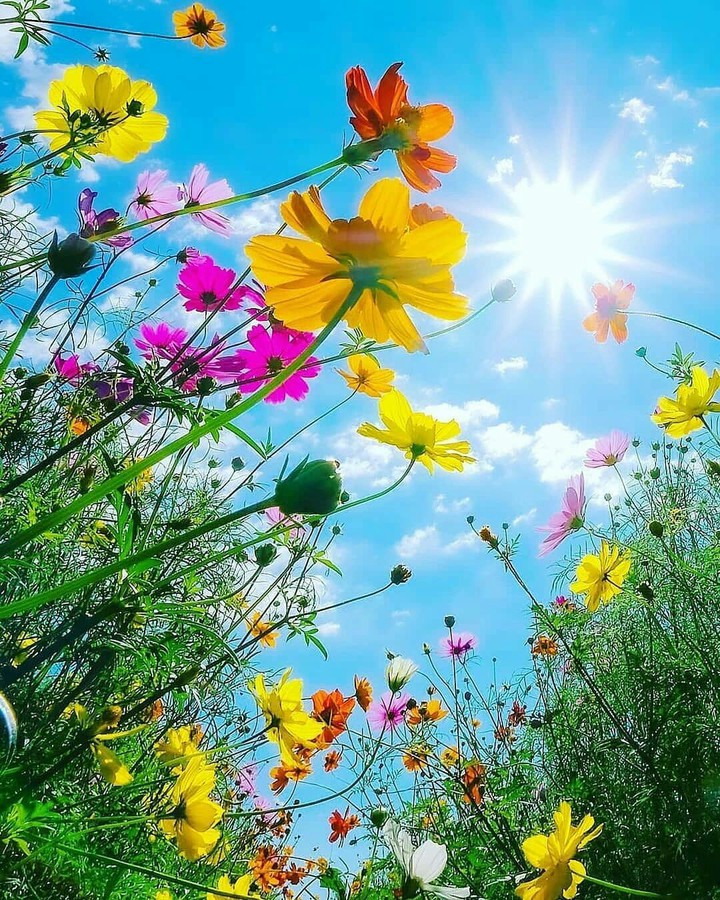 #Here comes the Sun ..