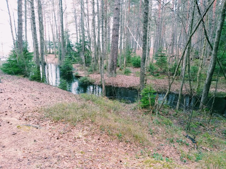 руч. Авель, Экологическая тропа, Калищенское оз.