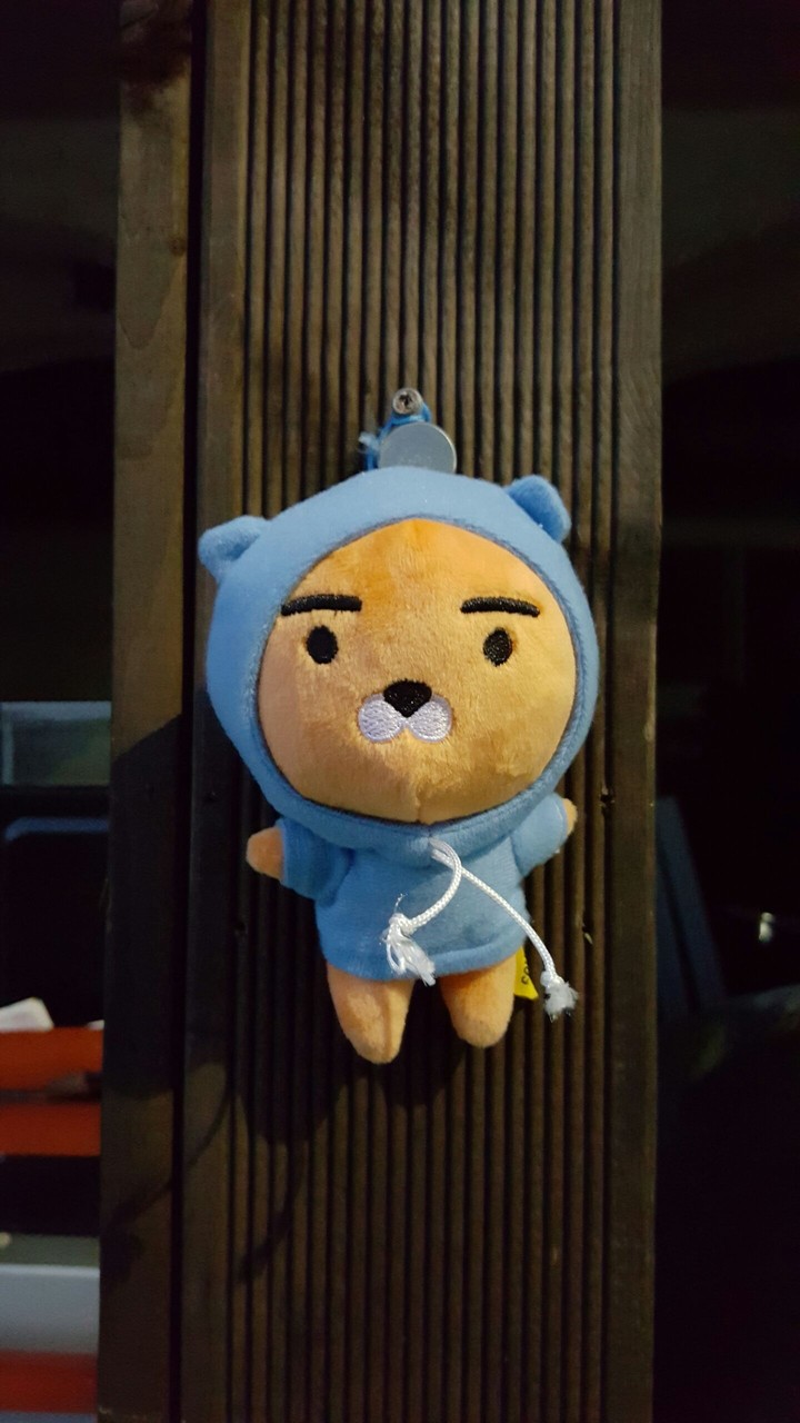 라이언인형