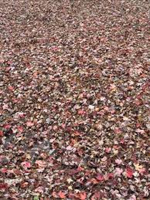 粉色, pink桌布