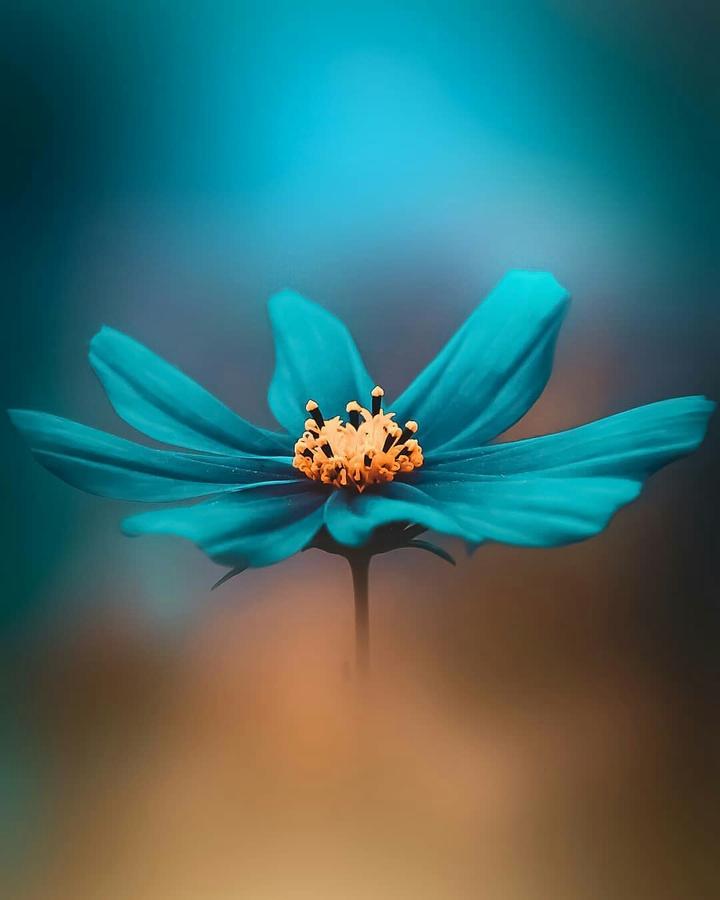 ❤