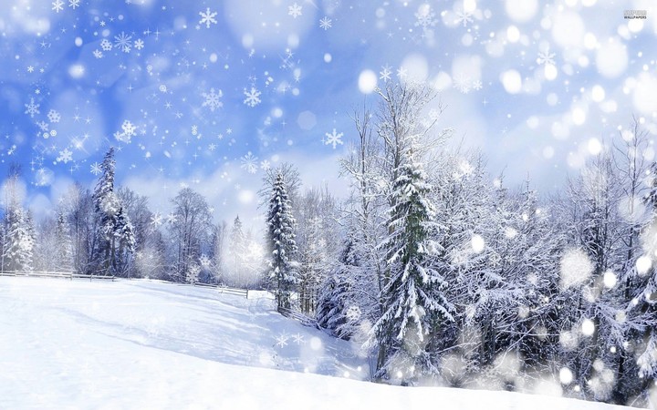 Magic Snow