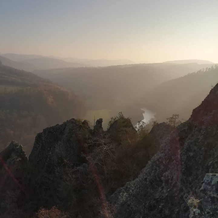 View