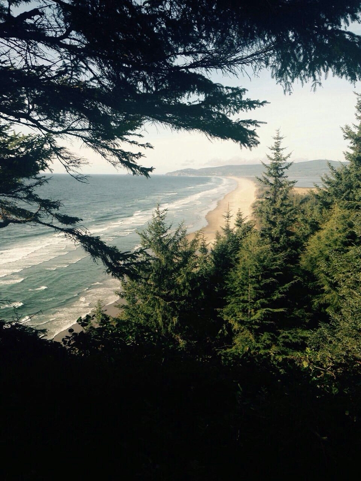 Ocean