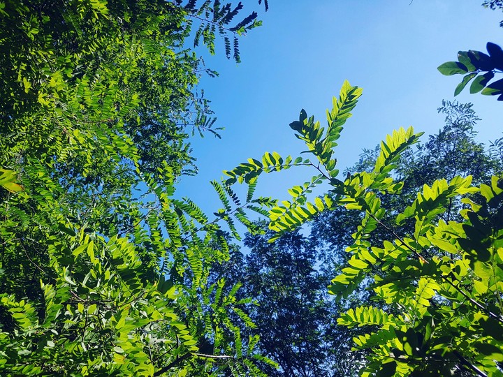 sky