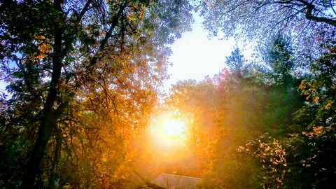 sunrise