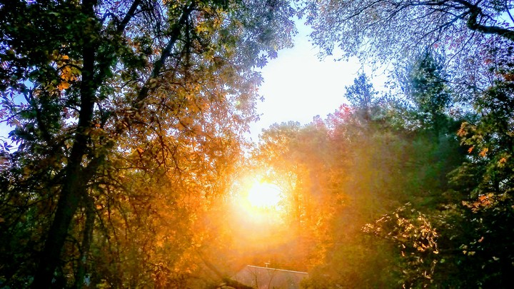 sunrise