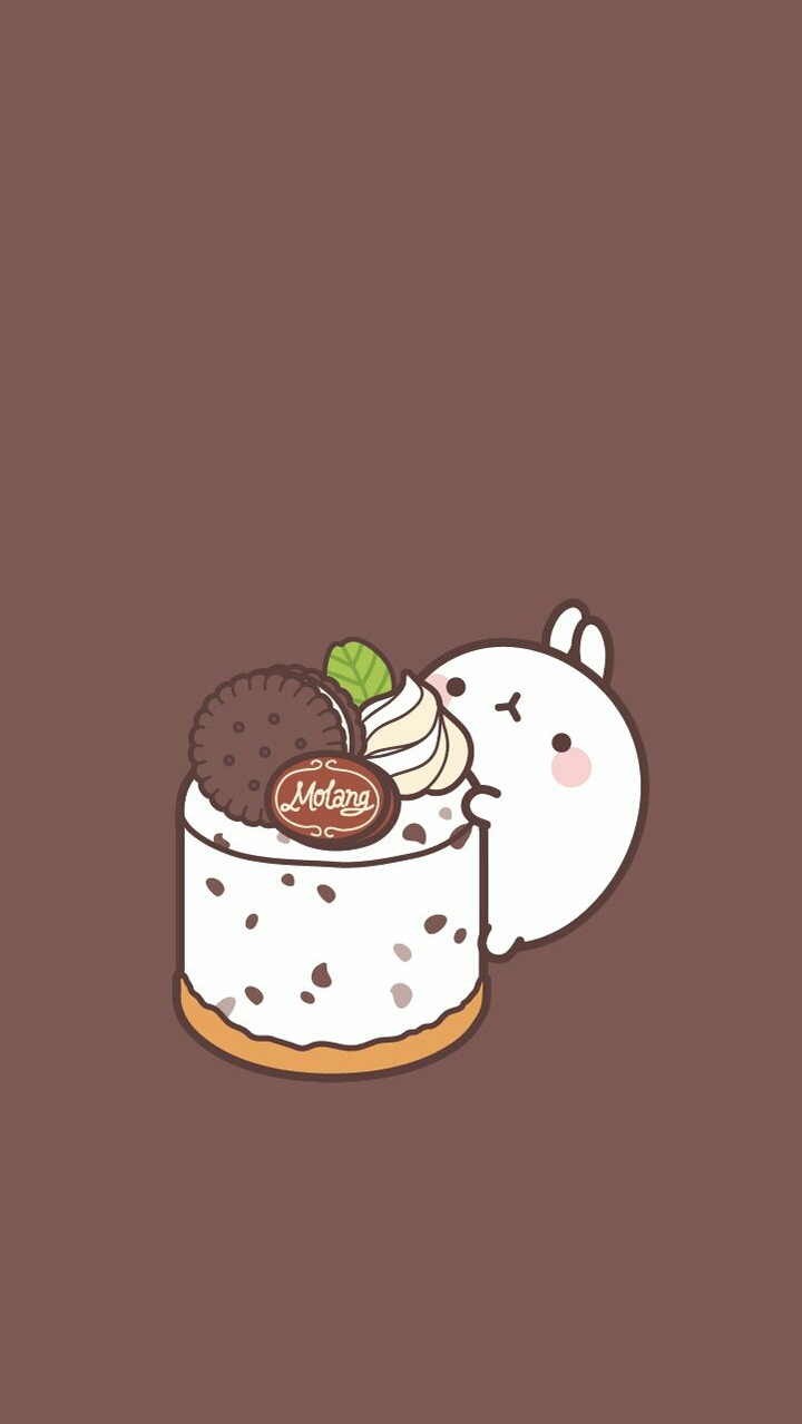 cute rabbit with chocolate biscuit cake