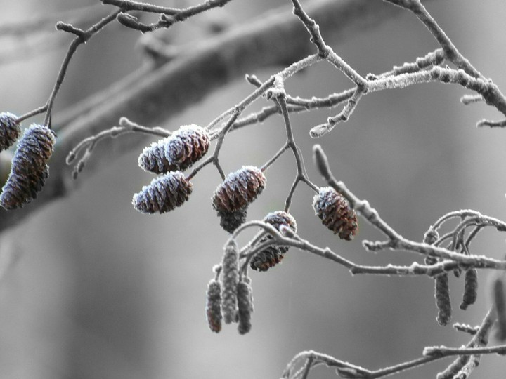 A bit frozen
