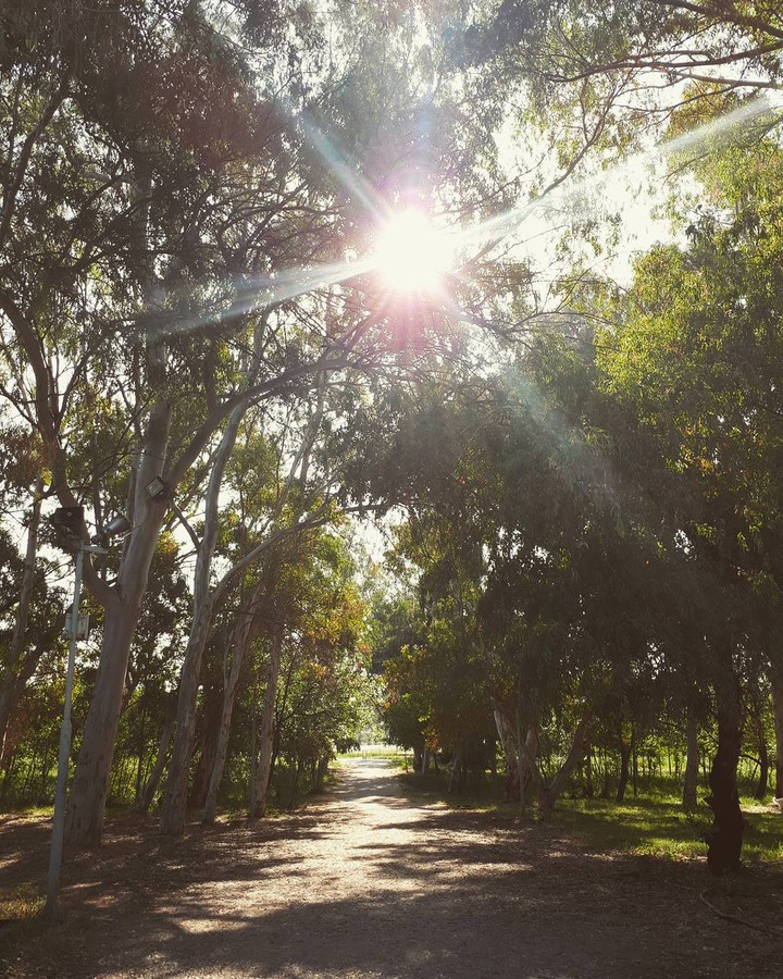 Sunny days are never enough! 