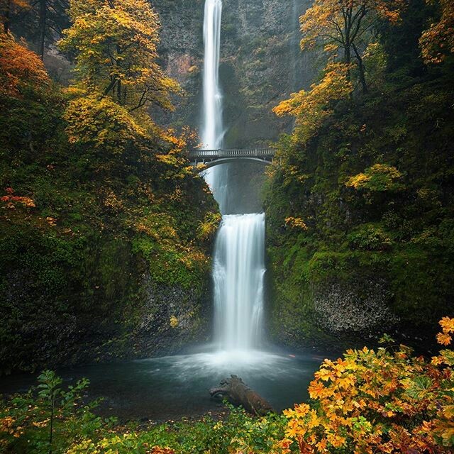 NATURE...