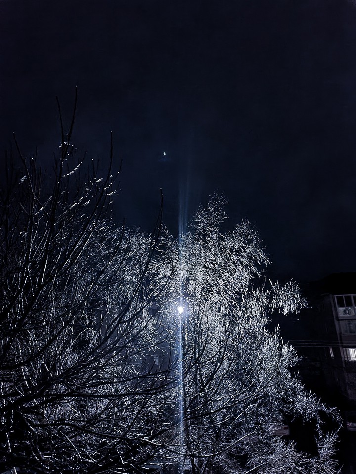 Winter night