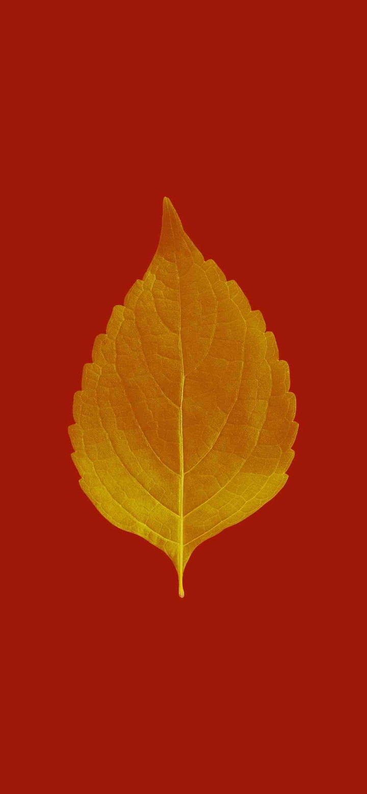 ⠀