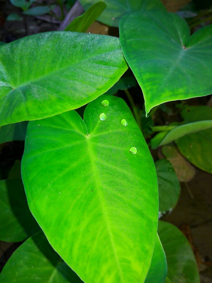 best click in night