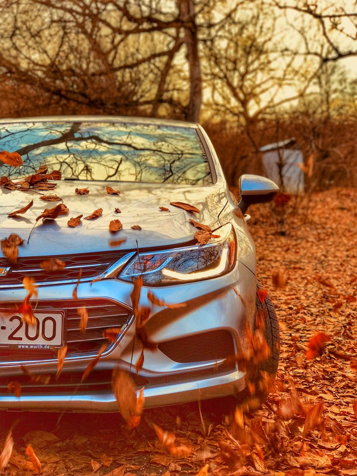 Autumn