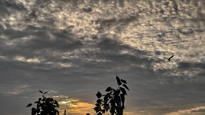 Dark sky